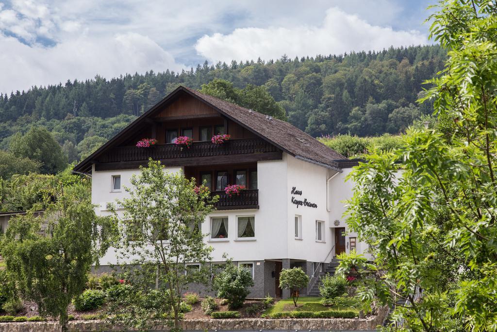 Haus Kesper-Brunen Hotel Willingen  Exterior photo